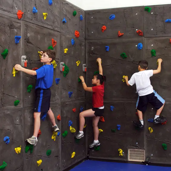 Superior Traverse Climbing Wall Panel With Mat 1