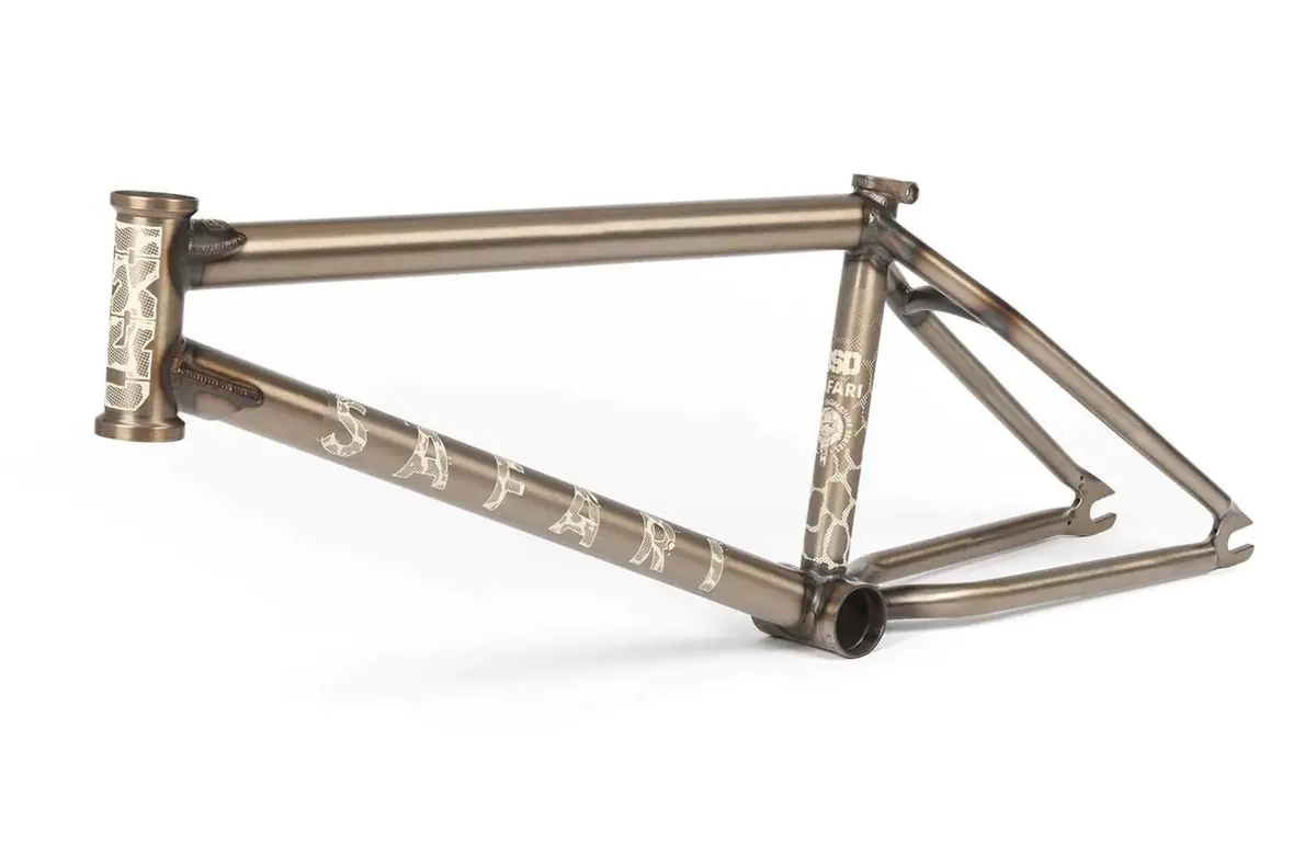Bsd Safari V3 Frame Gold Honey 1