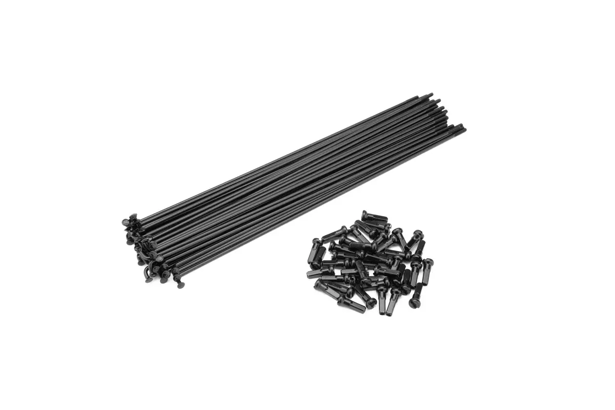 Cinema Stainless Spokes 1