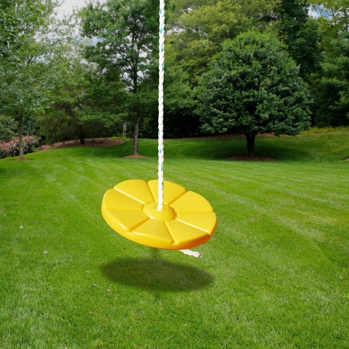 Disc Swing - Yellow 2