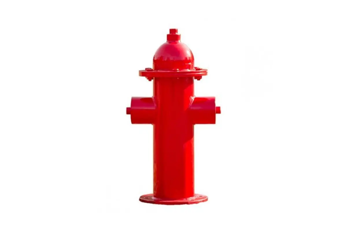 Dog Park Fire Hydrant 1