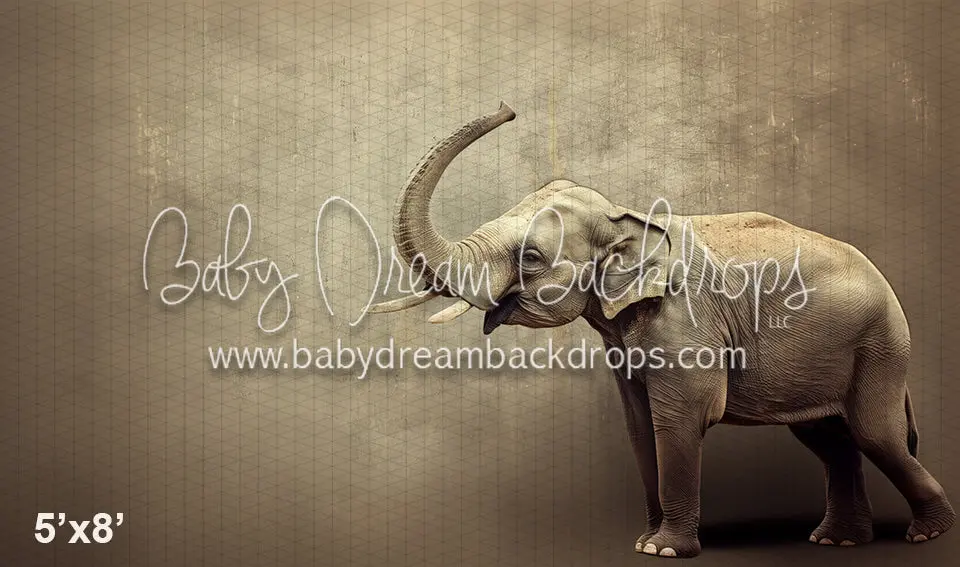 Fine Art Elephant (Wm) 1