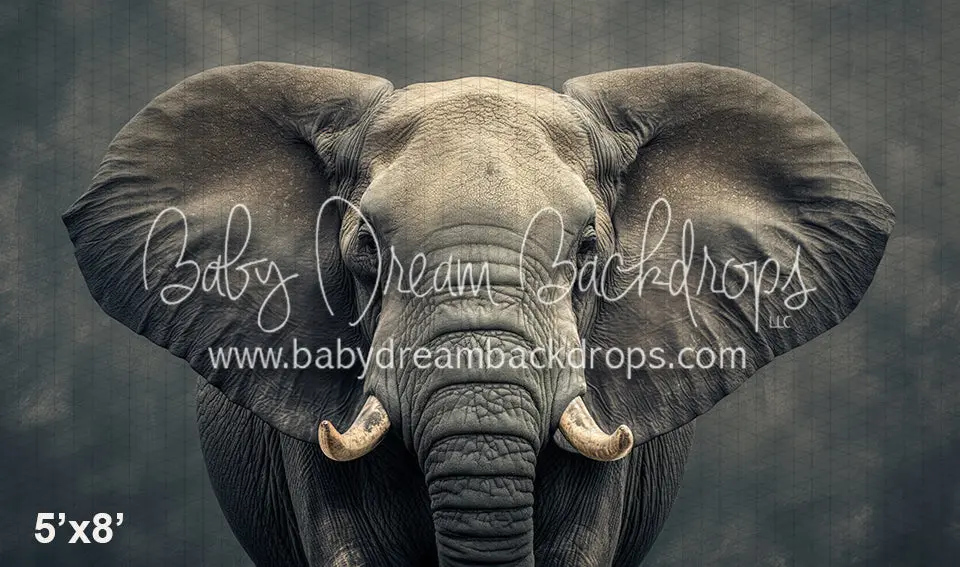 Fine Art Elephant Ii (Wm) 1