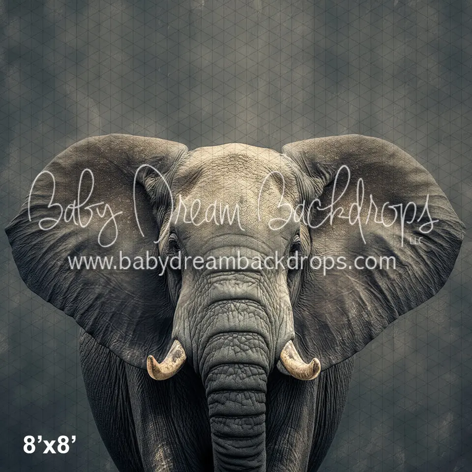 X Drop Fine Art Elephant Ii (Wm) 1