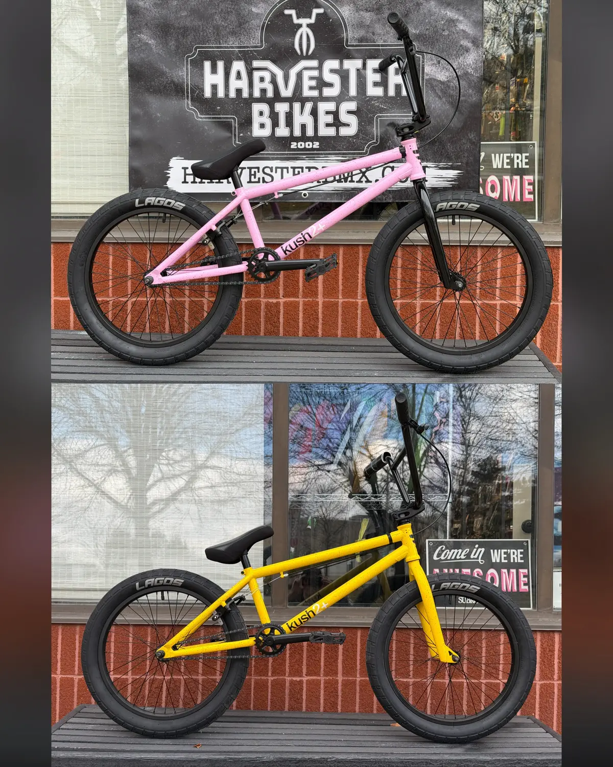 Mafia Bikes Kush2+ (Double Wall Rims) 1