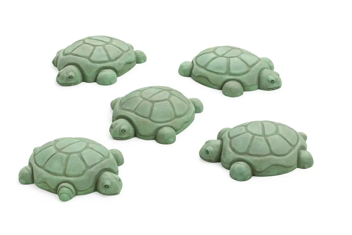 Nature Themed Turtle Steppers - Set Of 5 1