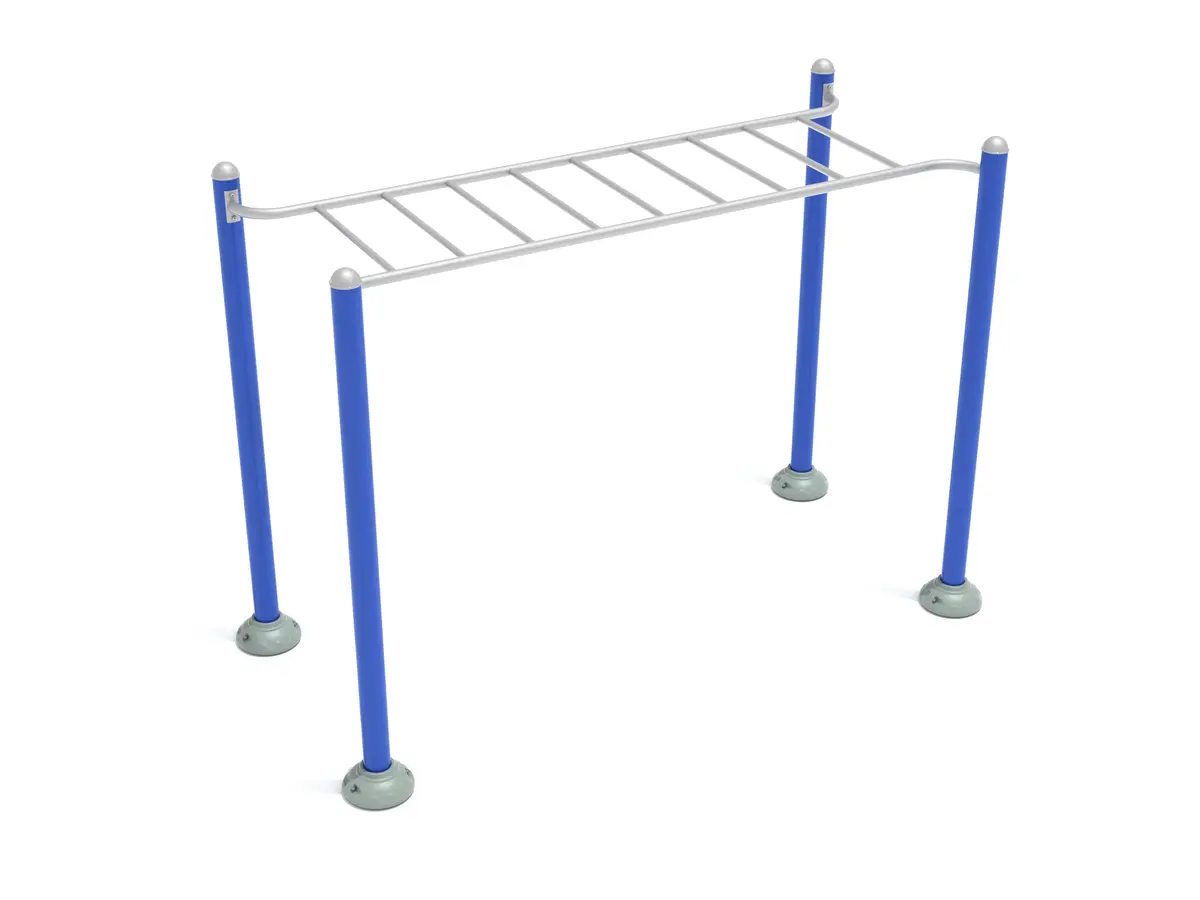 Single Station Horizontal Ladder 1