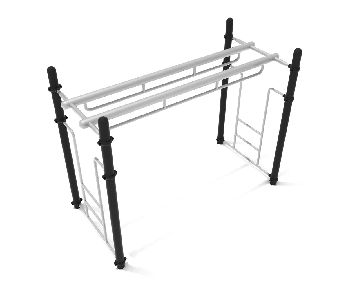 Double Parallel Bar Ladder 1