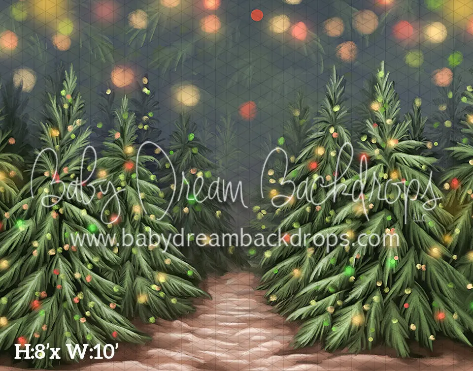 Presenting Divine Christmas Forest (Bd) 1