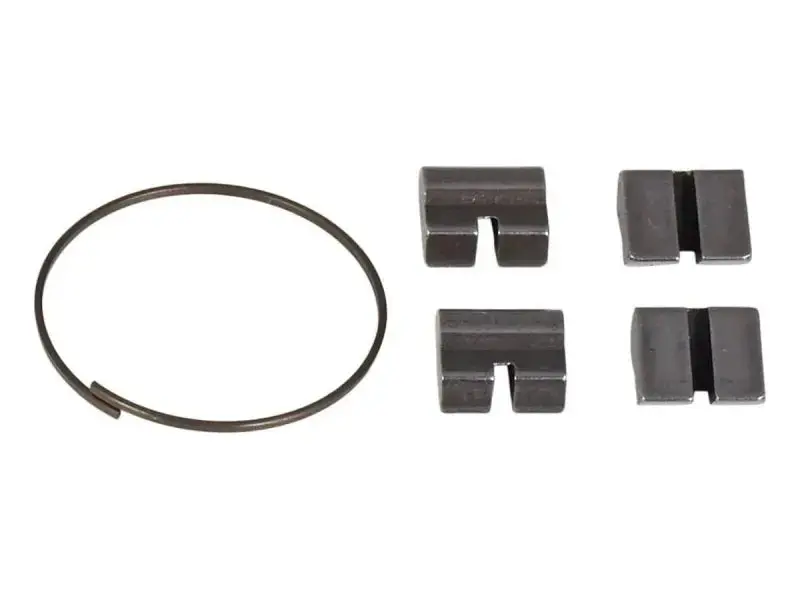 Salt "Ex Cassette" Spring/Pawl Set 1