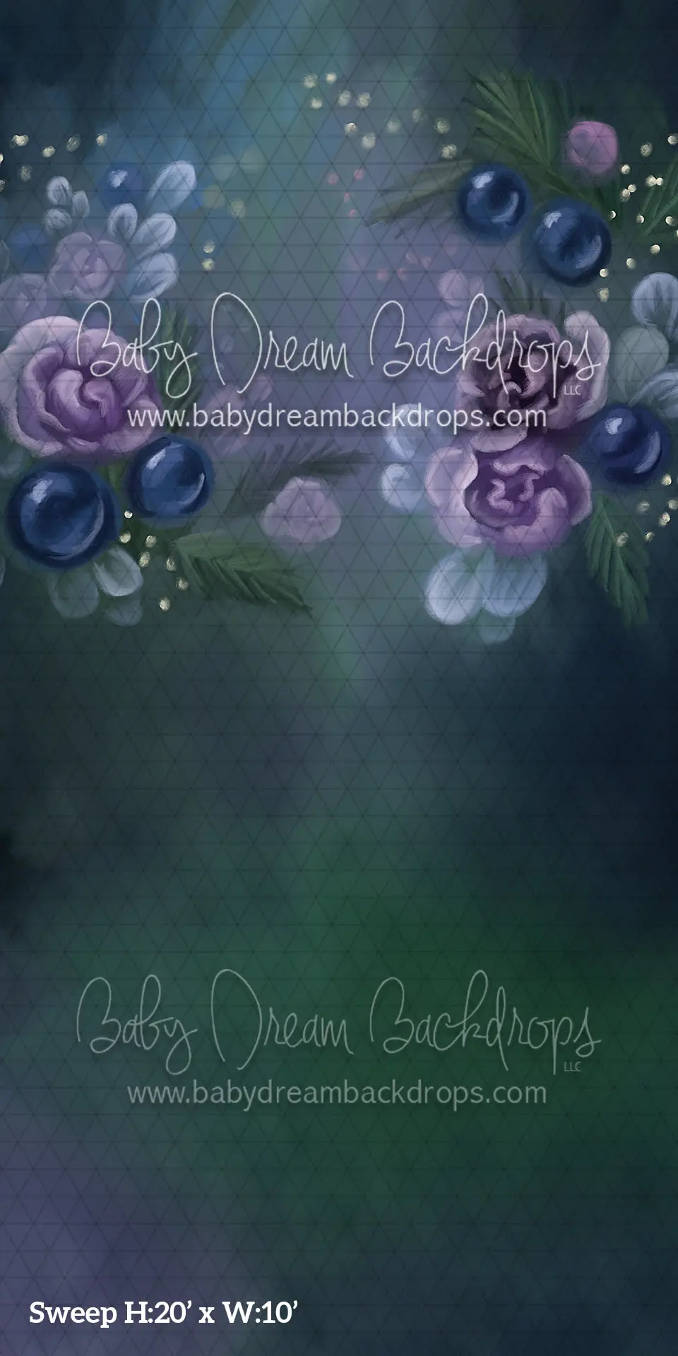Sweep Divine Tidings Of Joy (Bd) 1