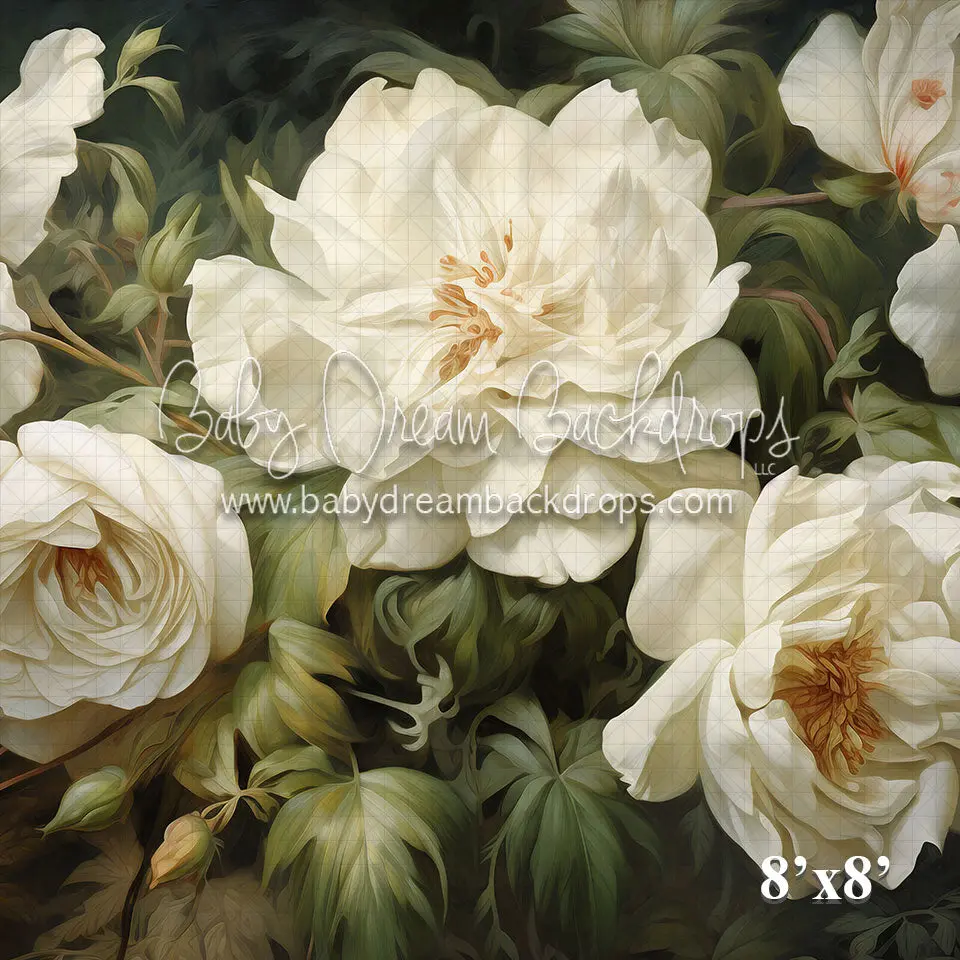 X Drop White Rose Mural (Vr) 1