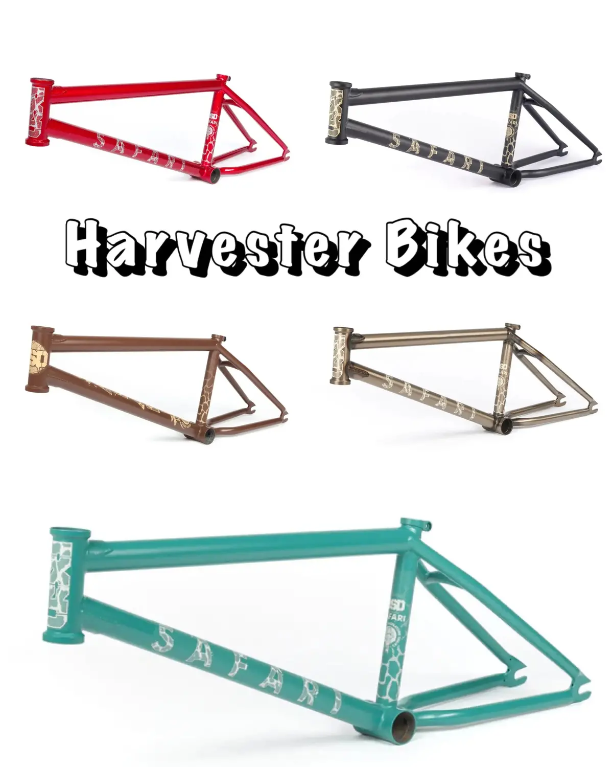 Bsd Safari "Reed Stark" Frame 1