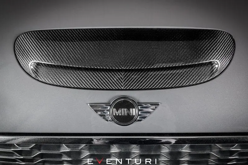 Eventuri Mini Cooper S/Jcw - Black Carbon Intake 1
