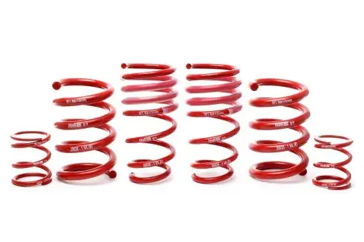 Porsche 992 Turbo H&R Sport Springs 1