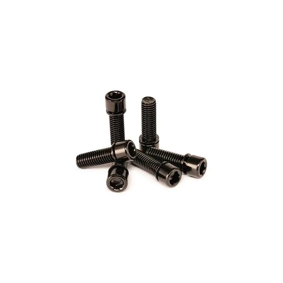 Salt 6-Pack 6Mm Hex Stem Bolts M8x25mm 1