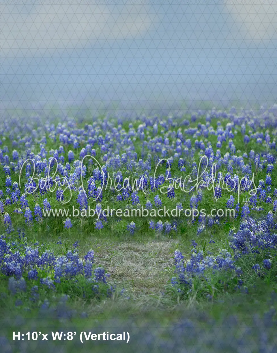 Blue Bonnet Getaway (Ad) 1