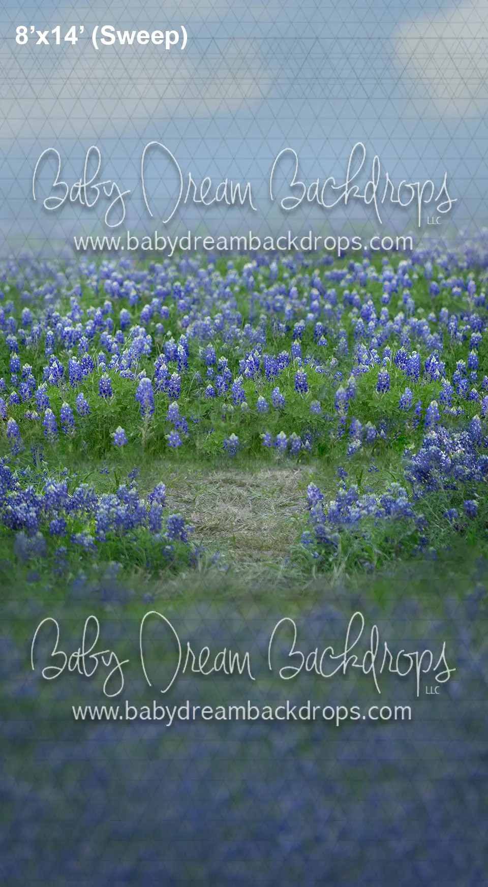 Sweeps Blue Bonnet Getaway (Ad) 3