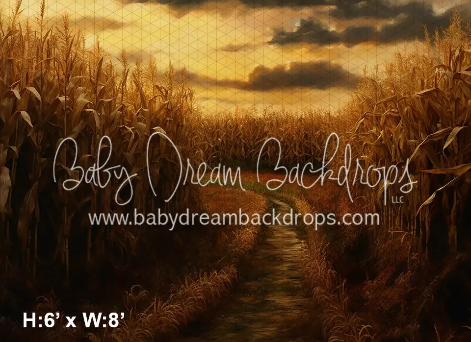 Autumn Cornfield Background Scene - Image 2