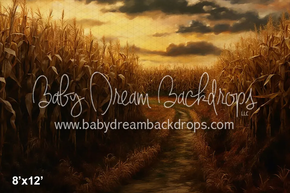 Autumn Cornfield Background Scene - Image 4
