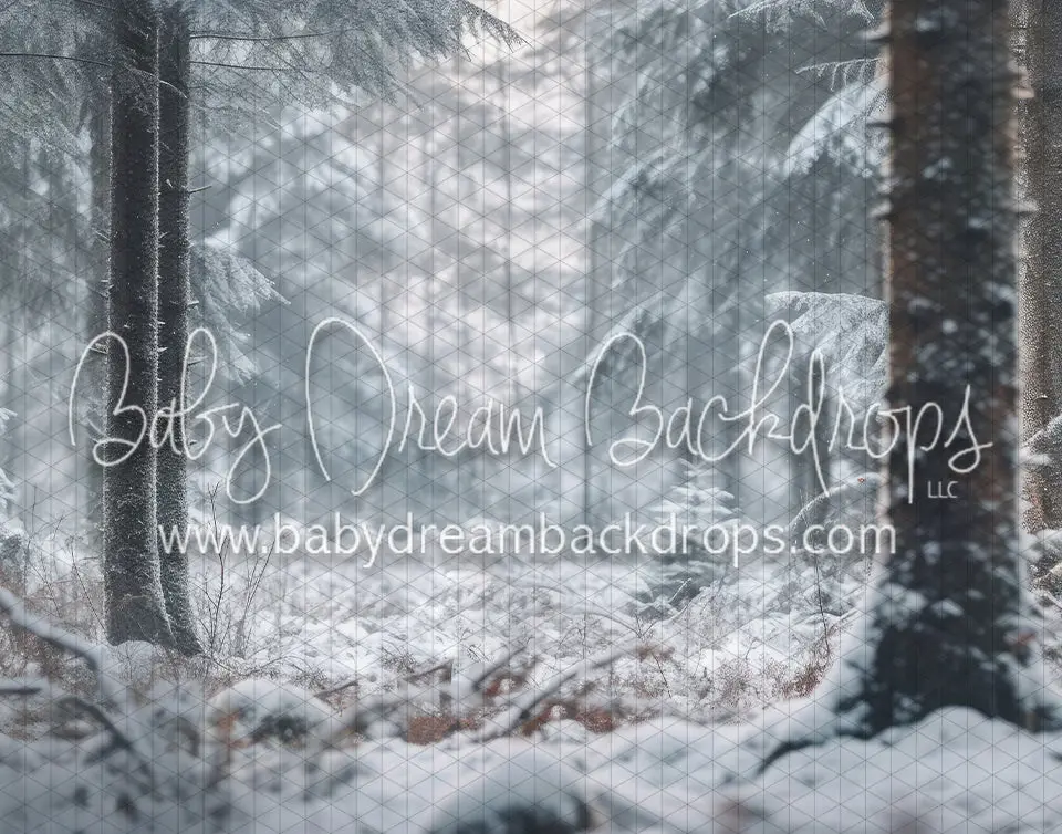 Frosty Forest Retreat (Ad) 1