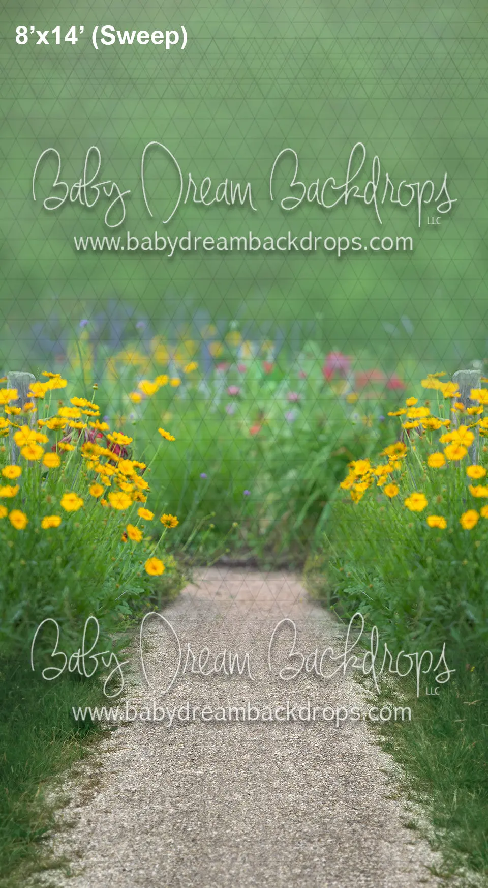 Sweeps Wildflower Whispers (Ad) 1