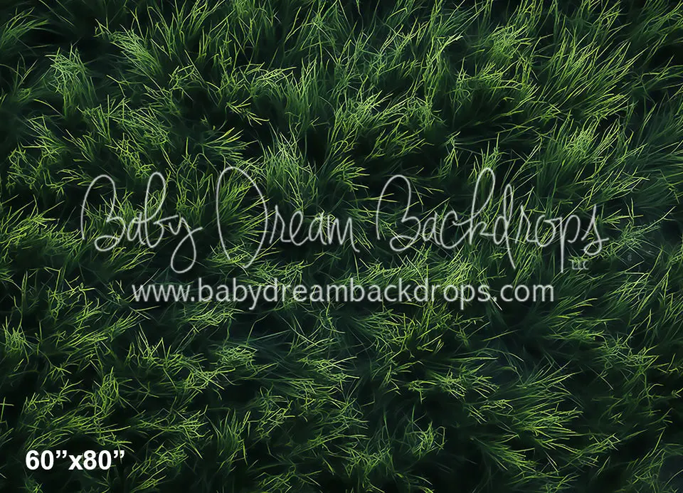 Grass Fabric Floor At Night (Az) 1
