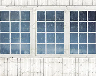 Rainy Day Window 1