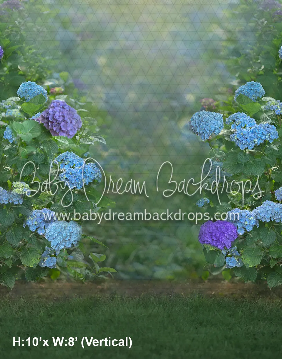 Hydrangea Dream (Ad) 1