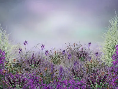 Summer Symphony 1