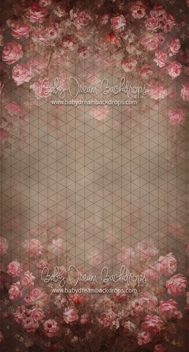 Sweeps Rose Believer (Ll) 1