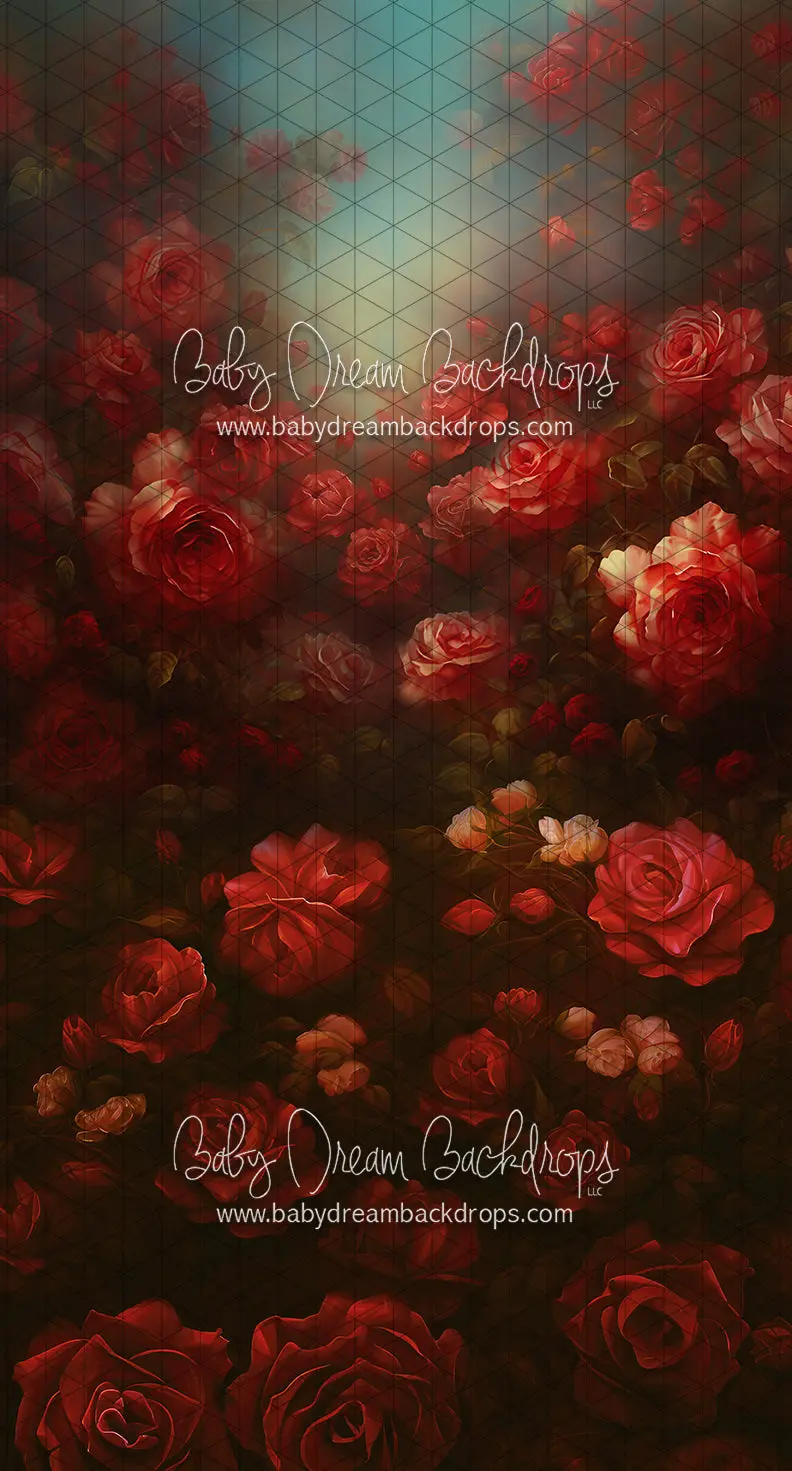 Sweeps Rose Revival (Ll) 1