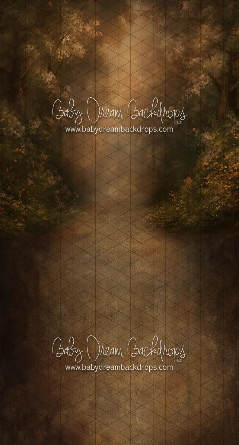 Sweeps Walk Into The Past (Ll) 1