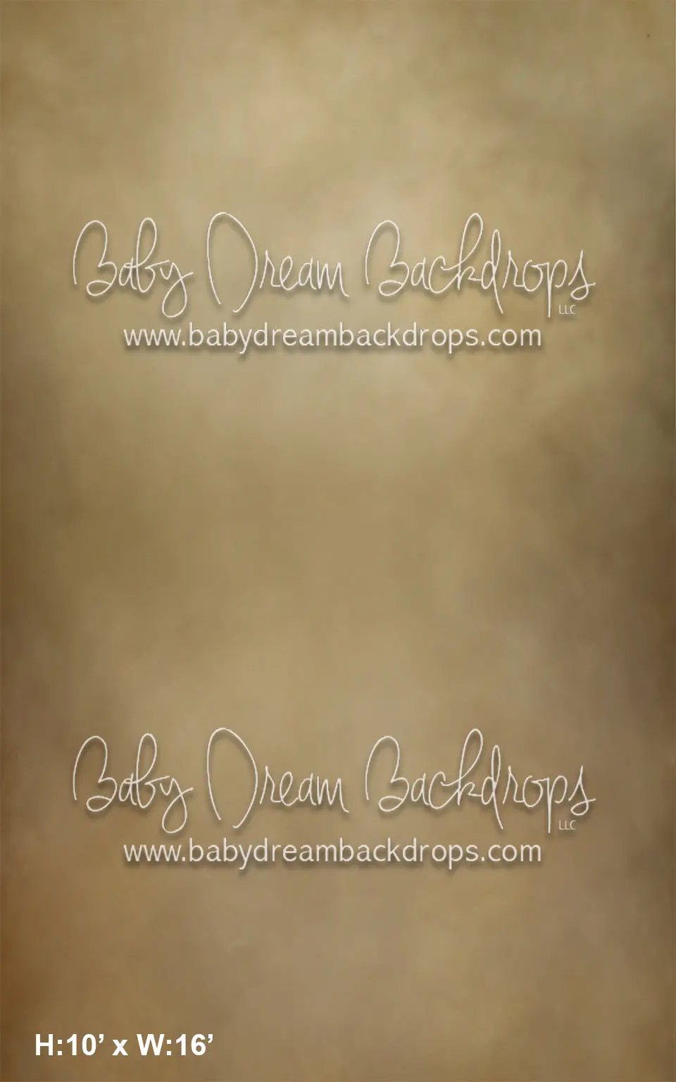 Sweeps Ctandrina Fine Art Camel (Az) 3