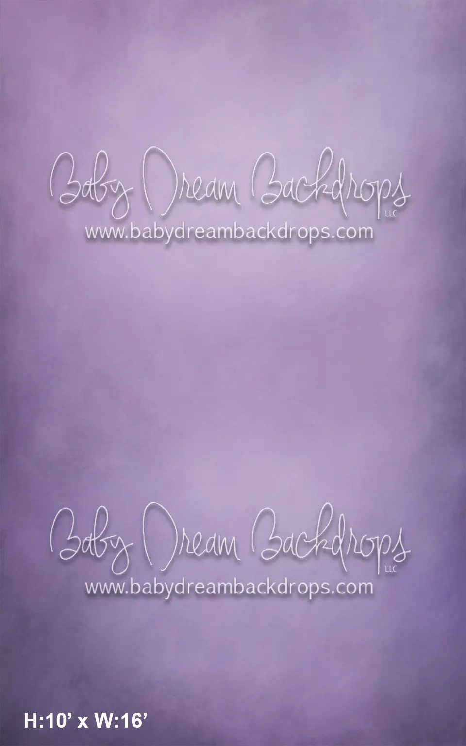 Sweeps Ctandrina Fine Art Lilac (Az) 3