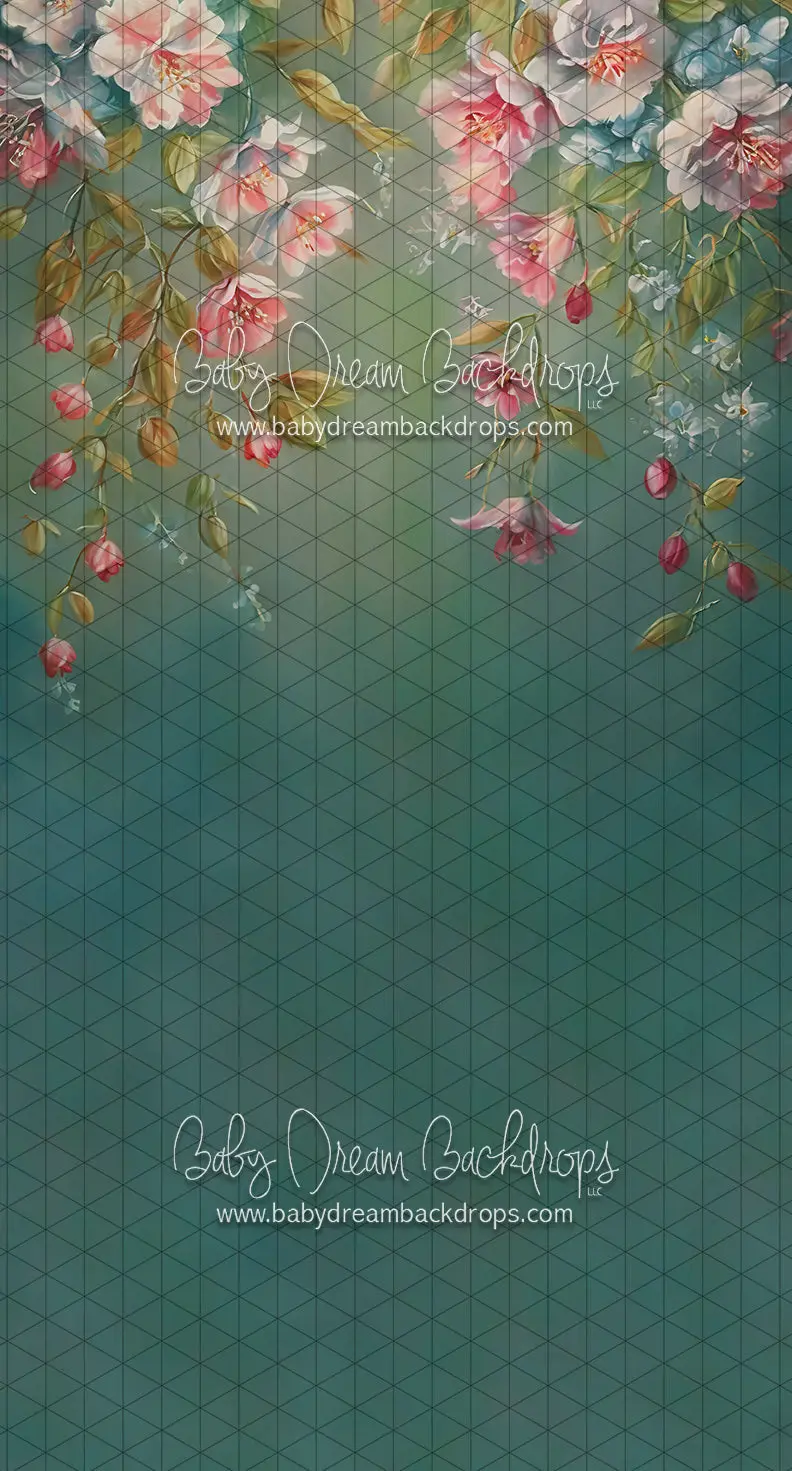 Sweeps Maui Wowy (Ll) 1