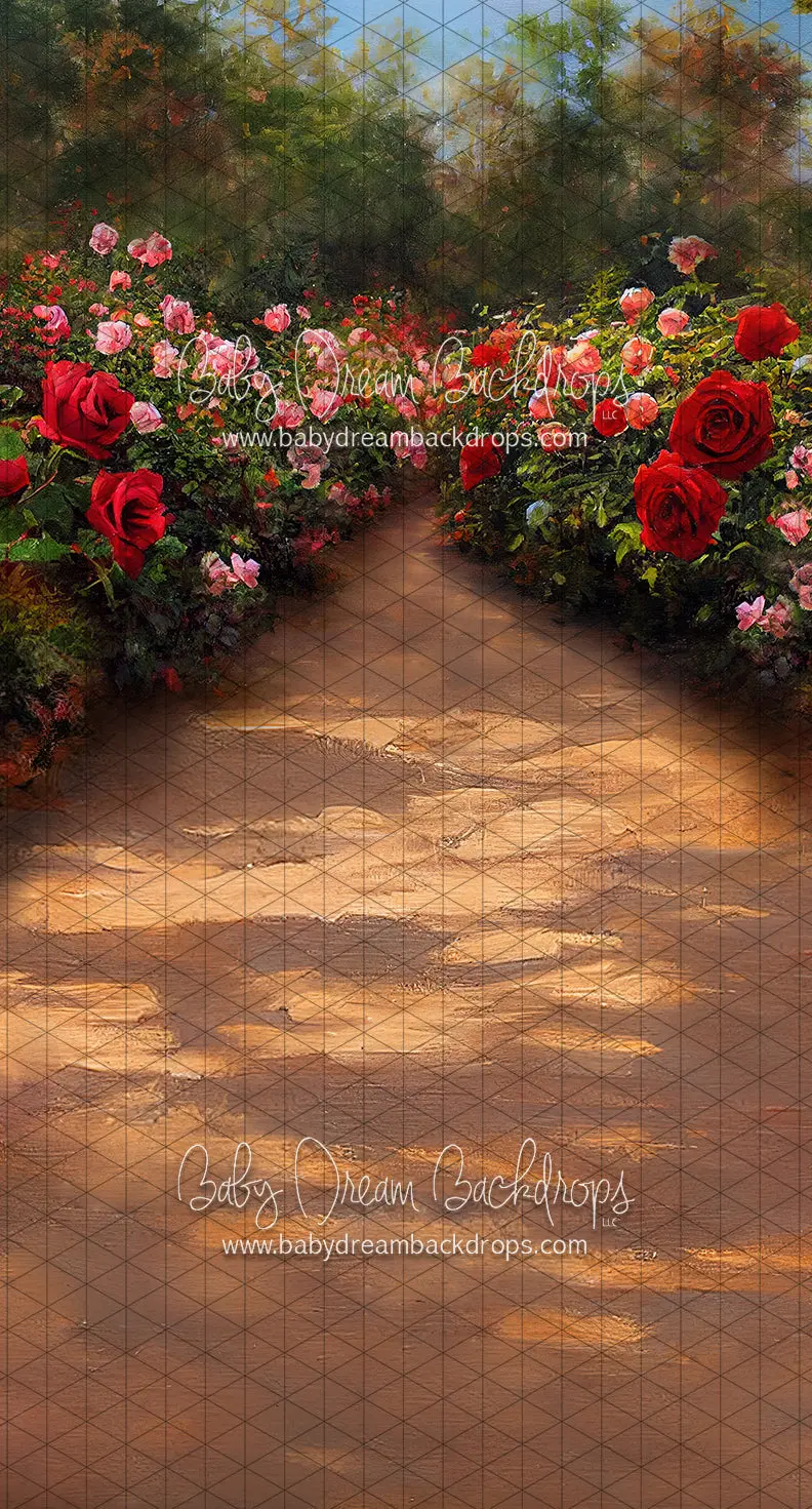 Sweeps Rose Walk (Ll) 1