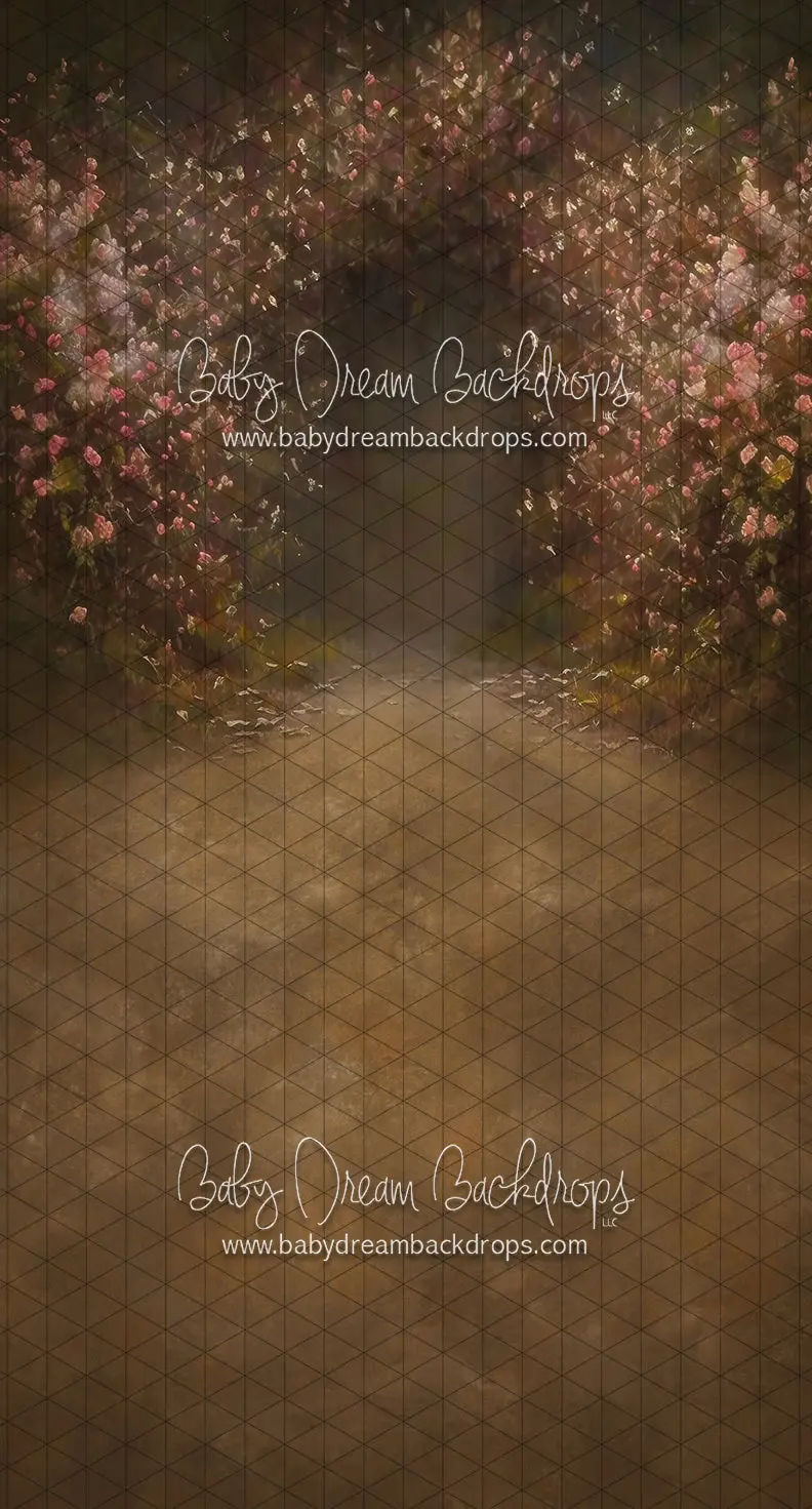 Sweeps Simple Charm (Ll) 1