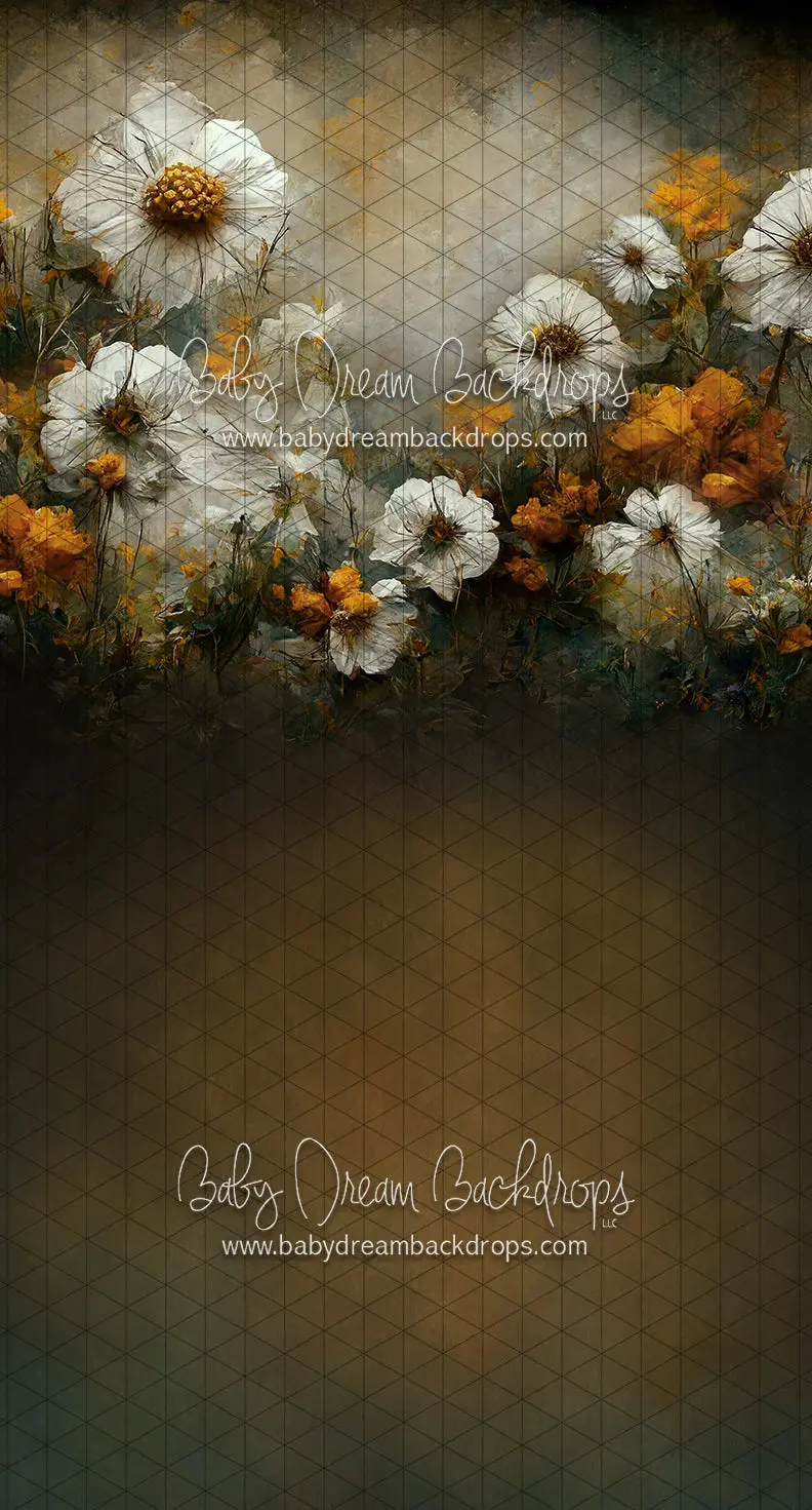 Sweeps Wishful Field (Ll) 1