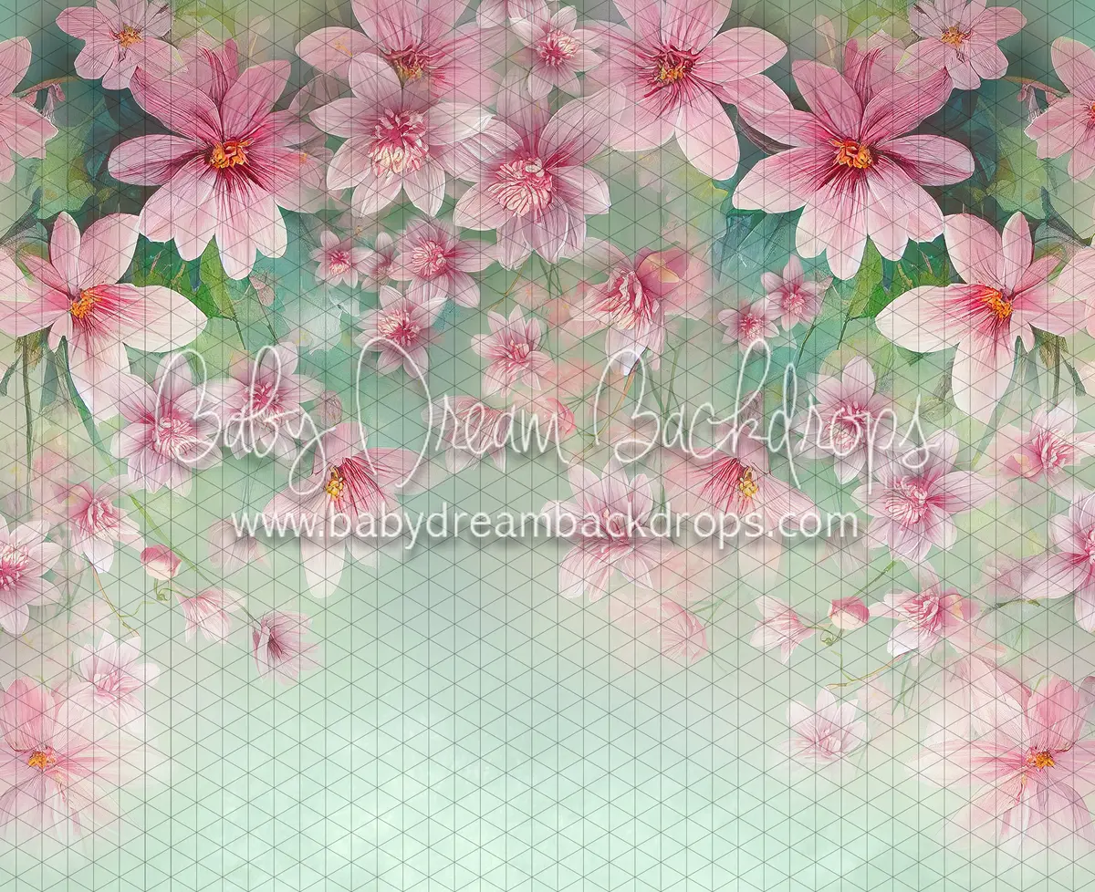 Sweet Spring (Ll) 1