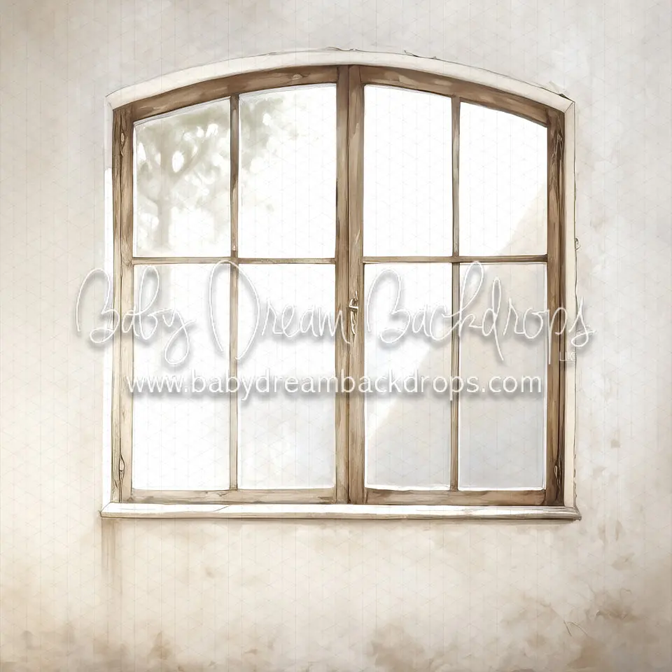 Textured Arch Window 1 (Md) 1