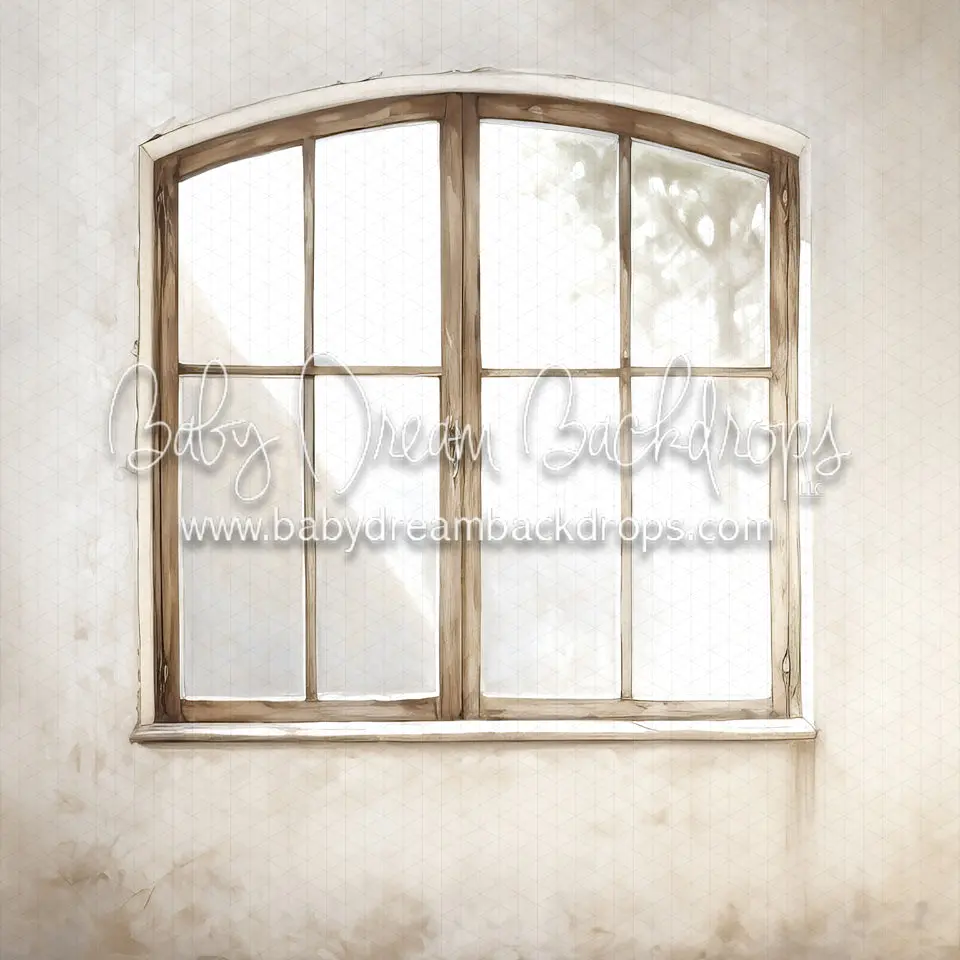 Textured Arch Window 1 Flipped (Md) 1