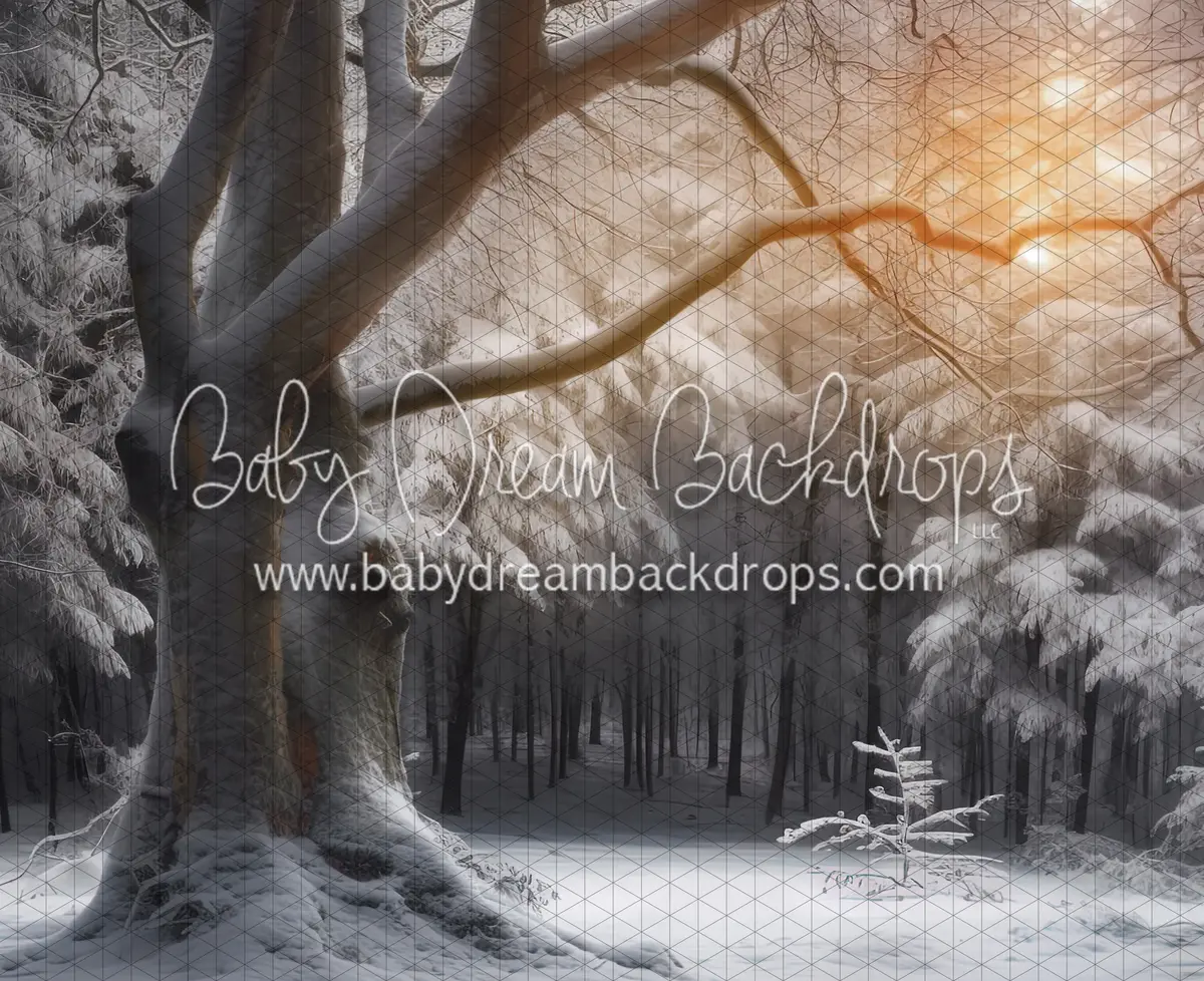 Warm Winter Walk (Ll) 1