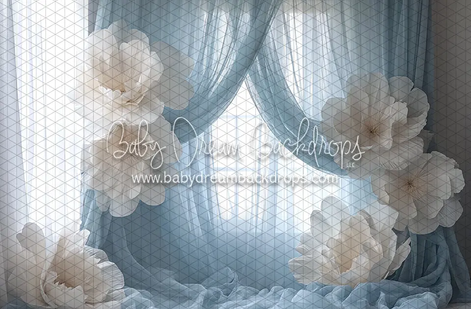 Oganza Blue Gradient Backdrop