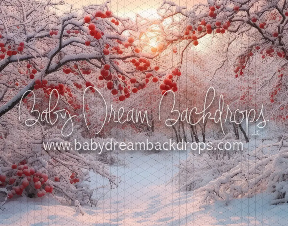 Winter Berries (Ad) 1