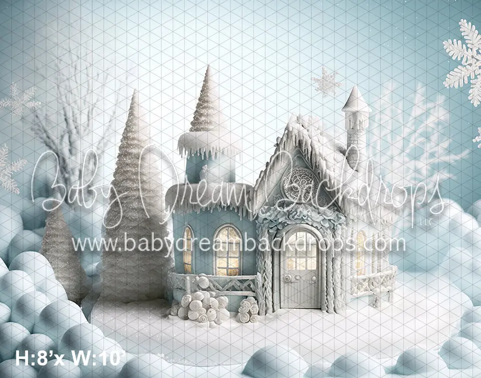Winter Cottage (Az) 8