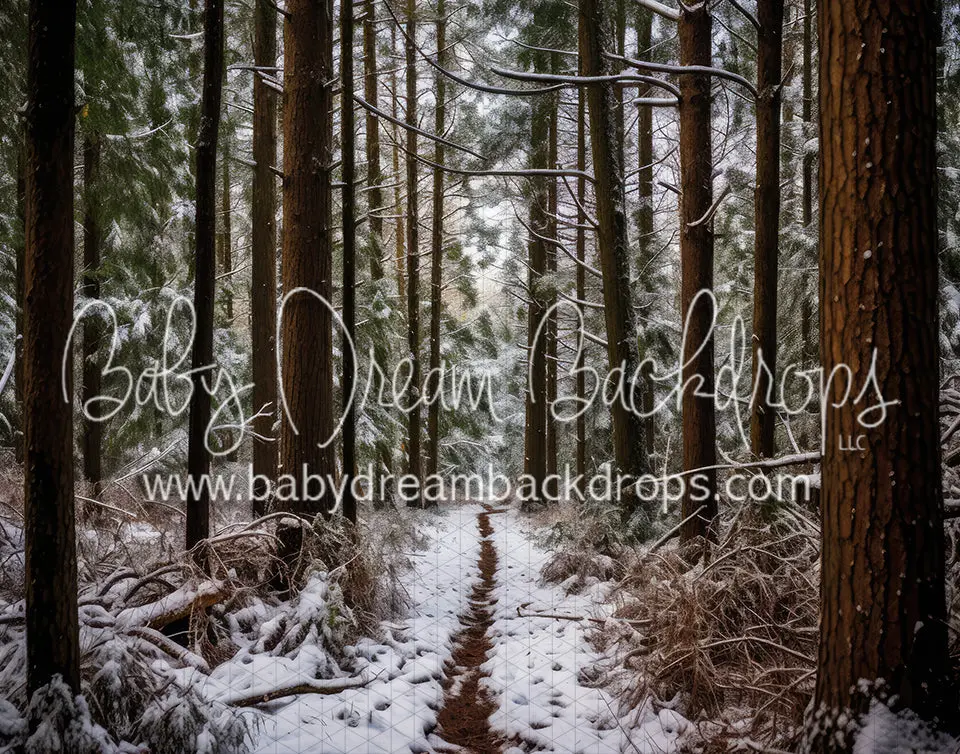 Winter Whispering Woods (Ad) 1