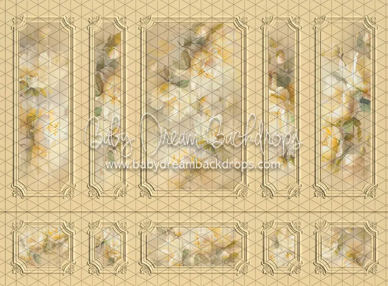 Wish Upon A Wall Sunshine (Ll) 1