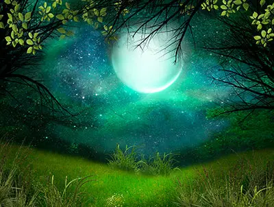 Summer Solstice 1